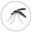 Mosquitoes