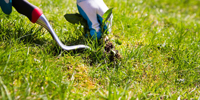 Weed Control